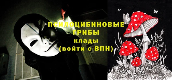 молекула духа Алексин